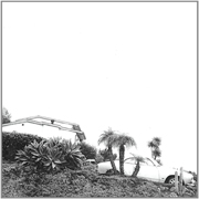 Album der Woche: Timber Timbre – „Hot Dreams“