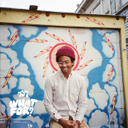 Album der Woche: Toro Y Moi – „What For?“