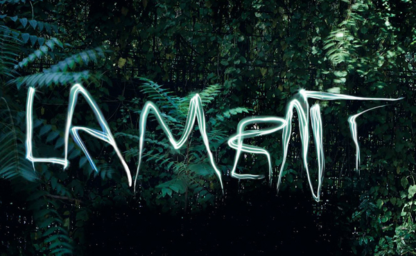 Cover des Albums Lament von Einstürzende Neubauten