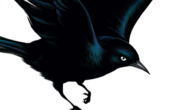 Fat Freddy’s Drop - Blackbird (The Drop)