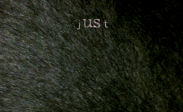 Cover des Albums Just Us von Faust