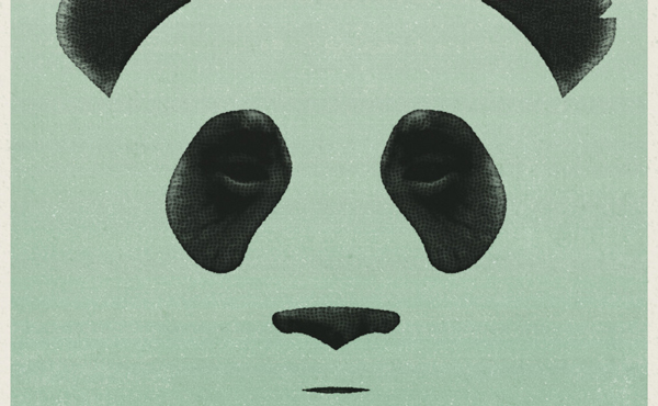 Cover des Albums Steady von Giant Panda Guerilla Dub Squad