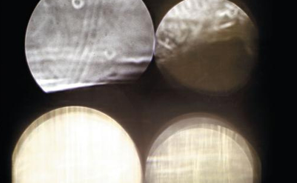 Neue Platten: Adrian Corker – "Raise"