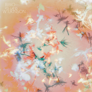 Bibio – "Silver Wilkinson"