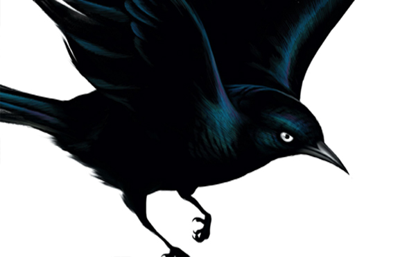 Neue Platten: Fat Freddy’s Drop – "Blackbird"