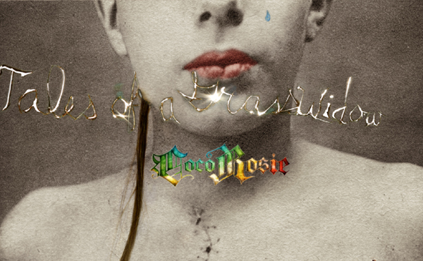 Neue Platten: CocoRosie – "Tales Of A GrassWidow"