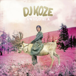 DJ Koze – „Amygdala“ (Album der Woche)