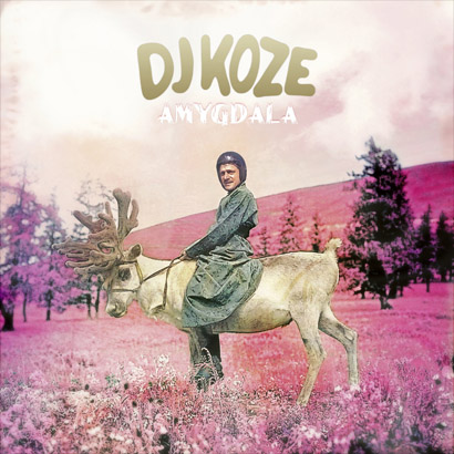Cover des Albums „Amygdala“ von DJ Koze