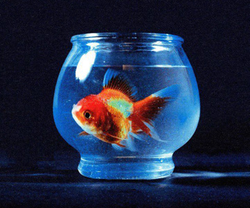 Vince Staples – „Big Fish Theory“ (Rezension)