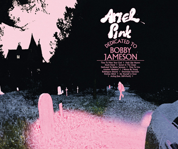 Ariel Pink – „Dedicated To Bobby Jameson“ (Album der Woche)