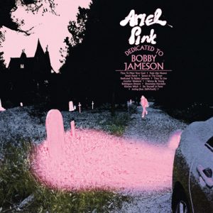 Ariel Pink – „Dedicated To Bobby Jameson“ (Album der Woche)