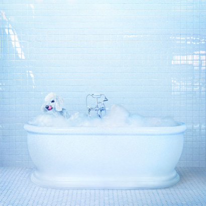 Frankie Cosmos – „Vessel“ (Rezension)