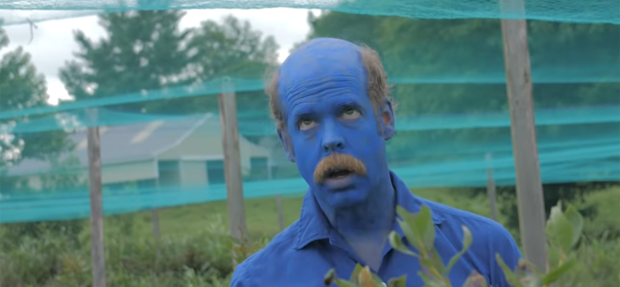 Will Oldham im Blaubeerenrausch: Neues Video von Bonnie „Prince“ Billy