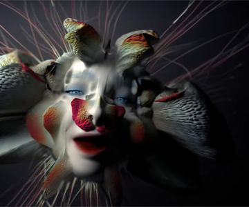 Björk – „Tabula Rasa“