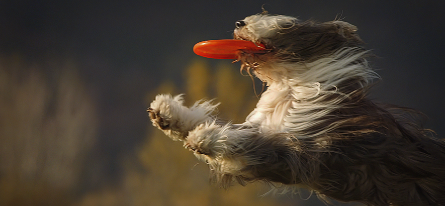 Filmstill aus dem Musikvideo von Caribou – „You Can Do It“.