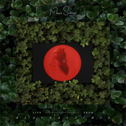 Artwork des neuen Albums von Moses Sumney – „Live From Blackalachia“.