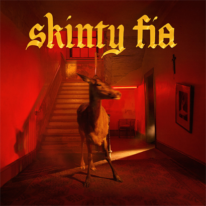 Artwork des neuen Albums von Fontaines D.C. – „Skinty Fia“.