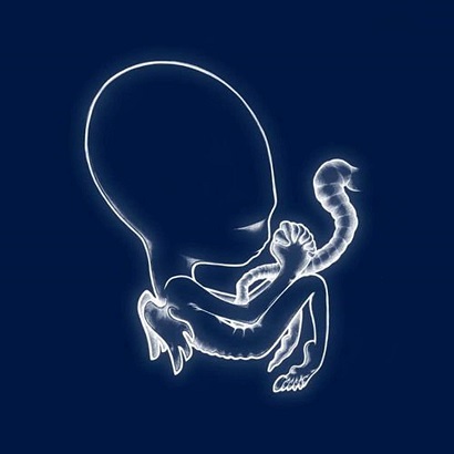 Albumcover von Sigur Rós’ „Ágætis Byrjun“, eines der besten Post-Rock-Alben aller Zeiten