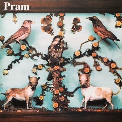 Albumcover von Prams „The Museum Of Imaginary Animals“, eines der besten Post-Rock-Alben aller Zeiten