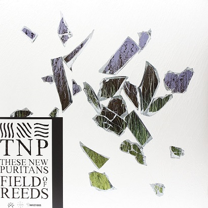 Albumcover von These New Puritans’ „Field Of Reeds“, eines der besten Post-Rock-Alben aller Zeiten