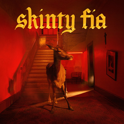 Bild des Albumcovers von „Skinty Fia“ von Fontaines D.C., das unser ByteFM Album der Woche ist.