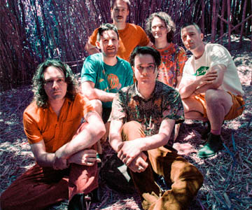 Album-Hattrick: „Mycelium“ von King Gizzard & The Lizard Wizard