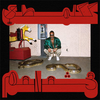 Artwork des neuen Albums von Shabazz Palaces – „Robed In Rareness“