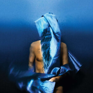 Devendra Banhart – „Flying Wig“ (Album der Woche)