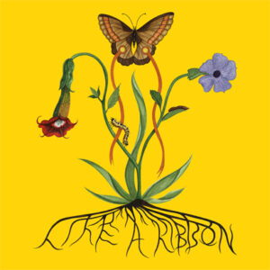 John Glacier – „Like A Ribbon“ (Album der Woche)