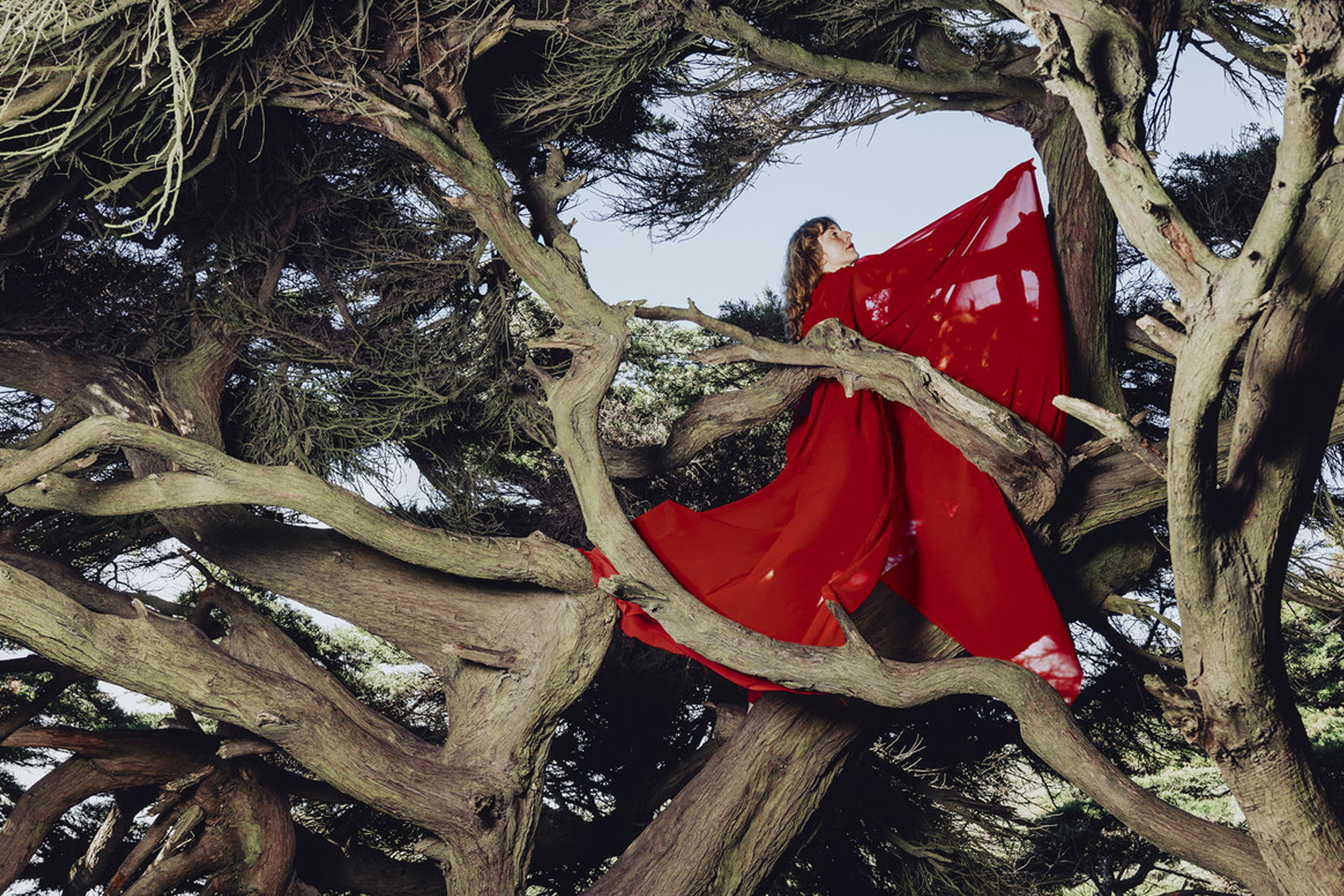 Hannah Frances – „Nested In Tangles“ (Rezension)