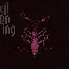 CD-Cover Clipping.