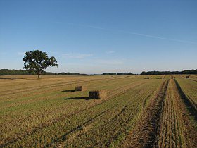 ByteFM: BTTB – Back To The Basics vom 18.09.2008