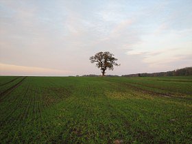 ByteFM: BTTB – Back To The Basics vom 06.11.2008