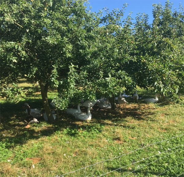 ByteFM: Knuspern vom 11.08.2019