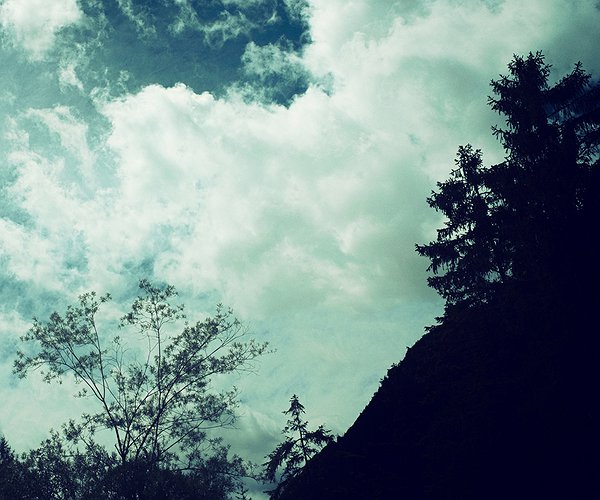 Der Freie Fall
-