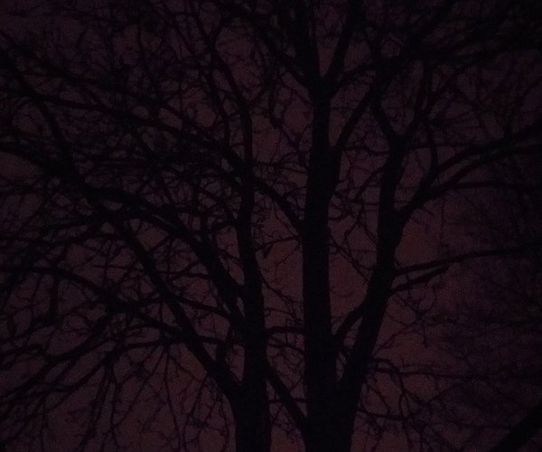 ByteFM: Eingefleischt vom 24.11.2017