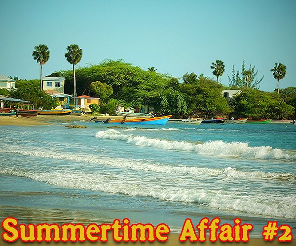 Forward The Bass - Summertime Affair #2