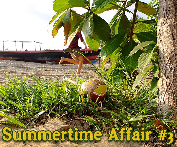 Forward The Bass - Summertime Affair #3