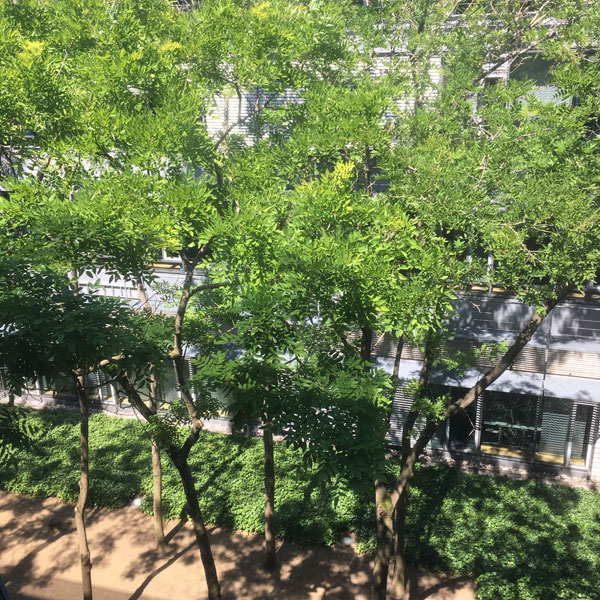 ByteFM: Knuspern vom 30.06.2019