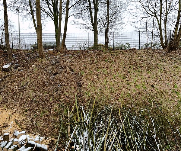 ByteFM: Knuspern vom 02.03.2025