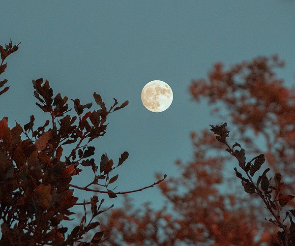 Ein Topf aus Gold - Moon Rider
