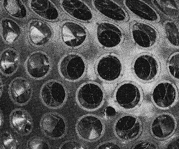 Hidden Tracks
-
