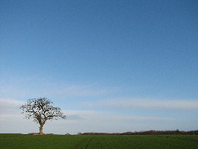 ByteFM: BTTB – Back To The Basics vom 13.03.2008