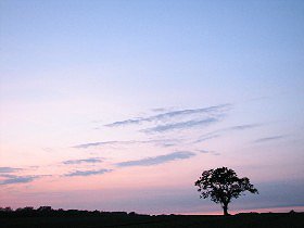 ByteFM: BTTB – Back To The Basics vom 22.05.2008