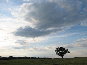 ByteFM: BTTB – Back To The Basics vom 10.07.2008