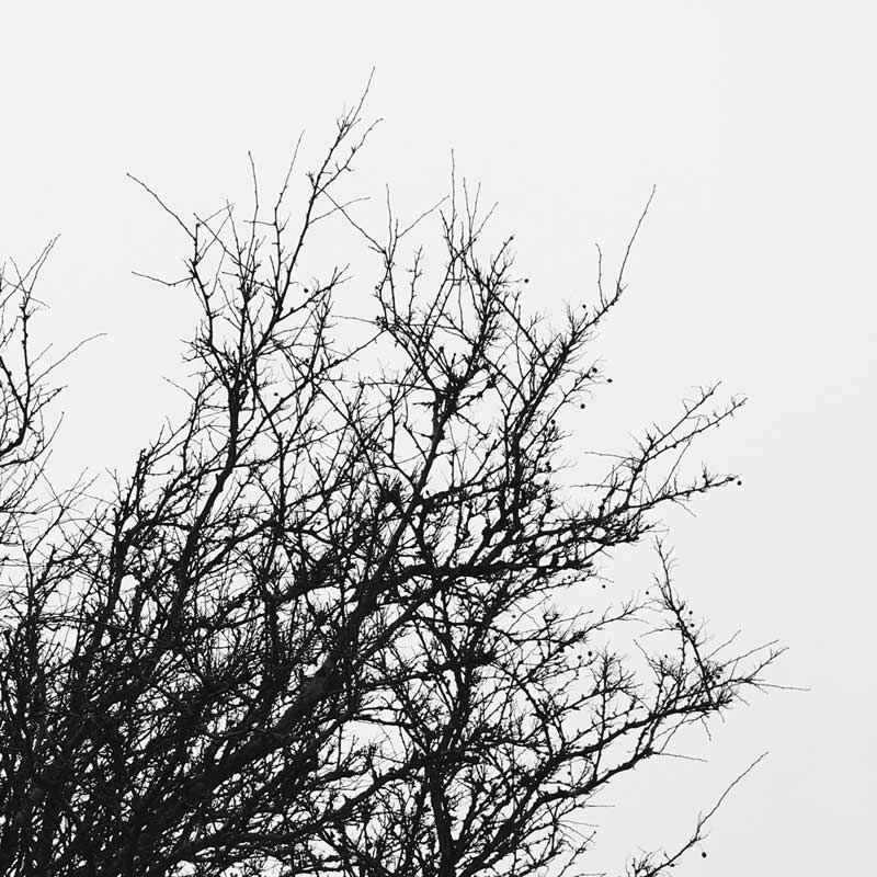 ByteFM: Der Freie Fall vom 04.12.2017