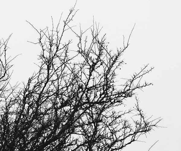 Der Freie Fall - Happiness