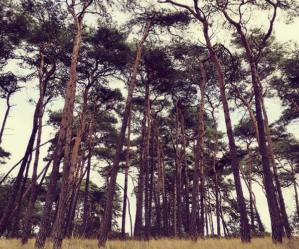 Der Freie Fall - Maybe