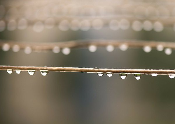 Kaleidoskop - Singen im Regen