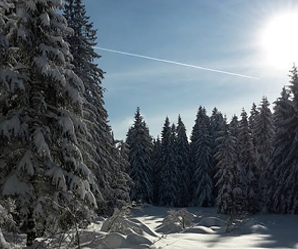 Die Welt ist eine Scheibe - Schnee von gestern